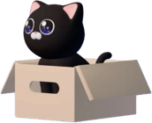 cat in box